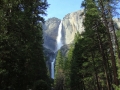 Yosemite NP